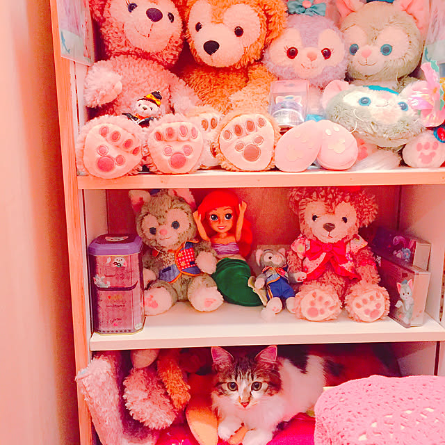 MASAさんの実例写真