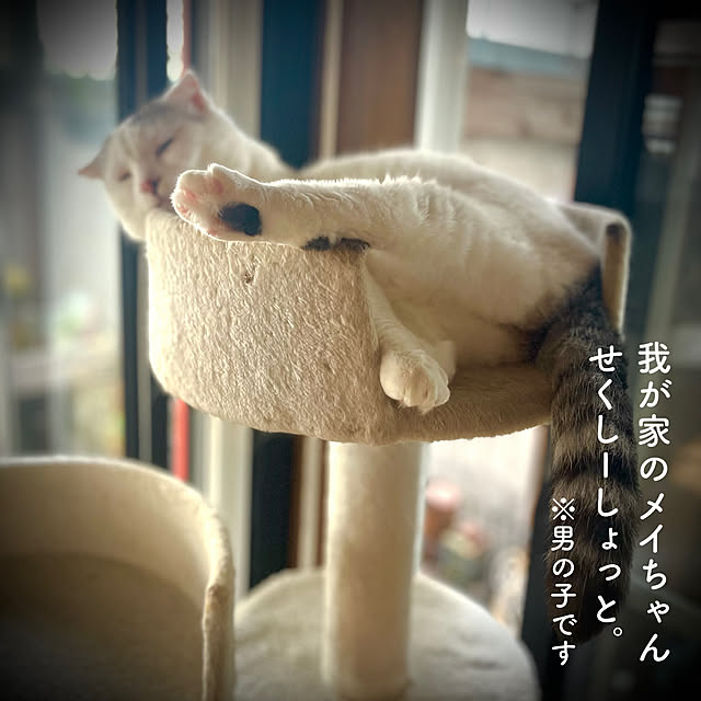 marusanさんの部屋