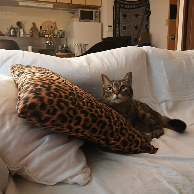 nahocさんの実例写真