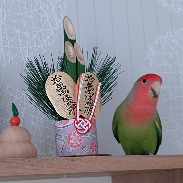 toratanさんの実例写真