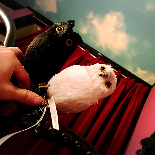 hysteric_eveさんの実例写真