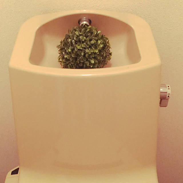 oyoriさんの実例写真