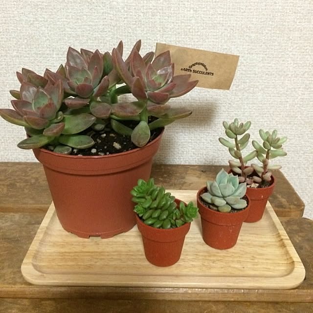 193さんの実例写真