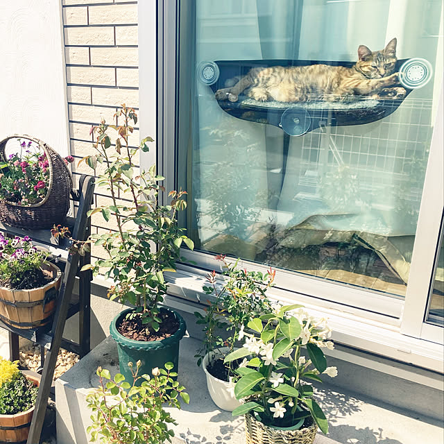 monmonさんの実例写真
