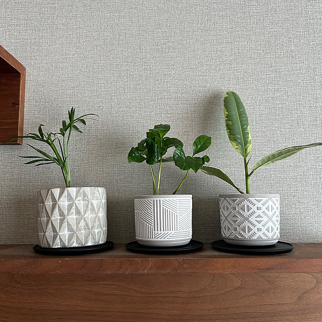 megmagさんの部屋