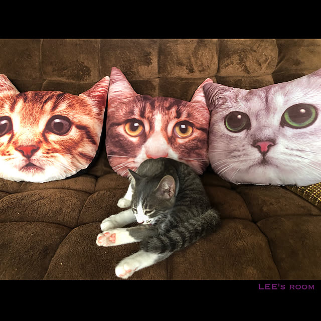 LEEさんの実例写真
