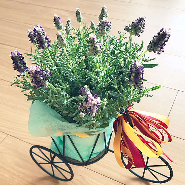 fuyiqian1026さんの実例写真