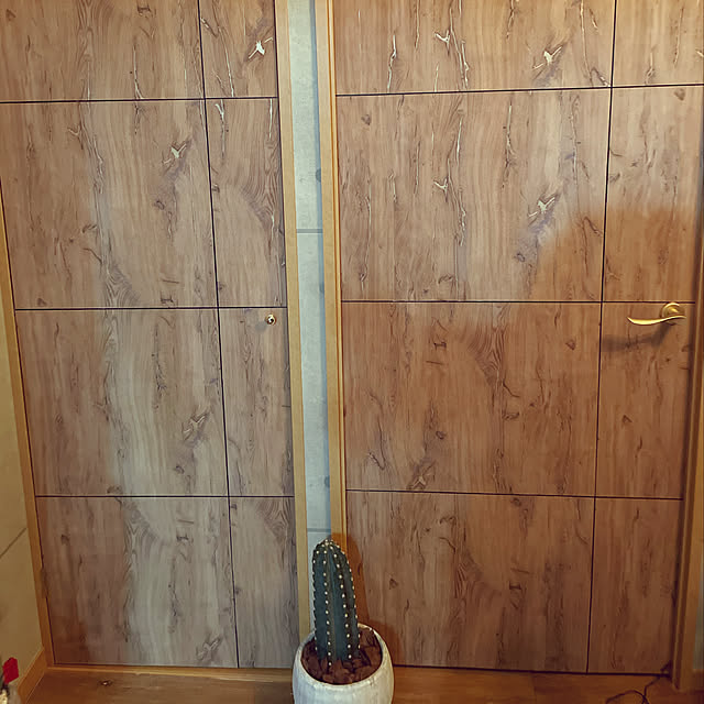 Mmさんの実例写真