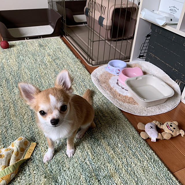 moko7ruiさんの実例写真