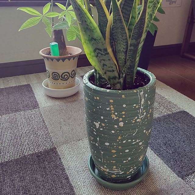 arradaさんの実例写真