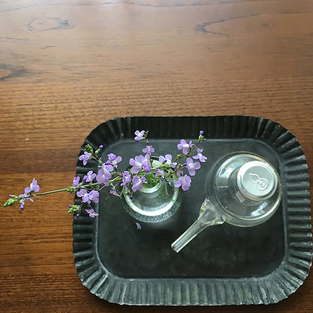 kinekoさんの実例写真