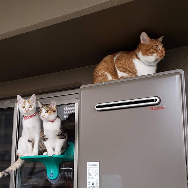 hiroさんの実例写真