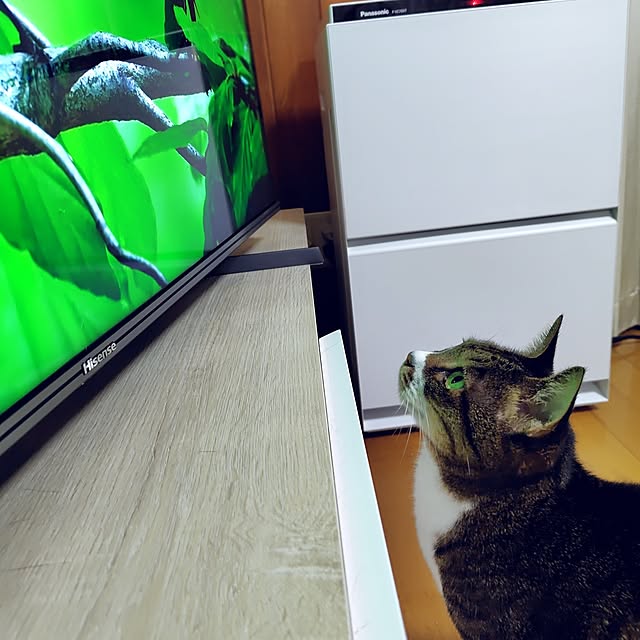 nachiさんの部屋