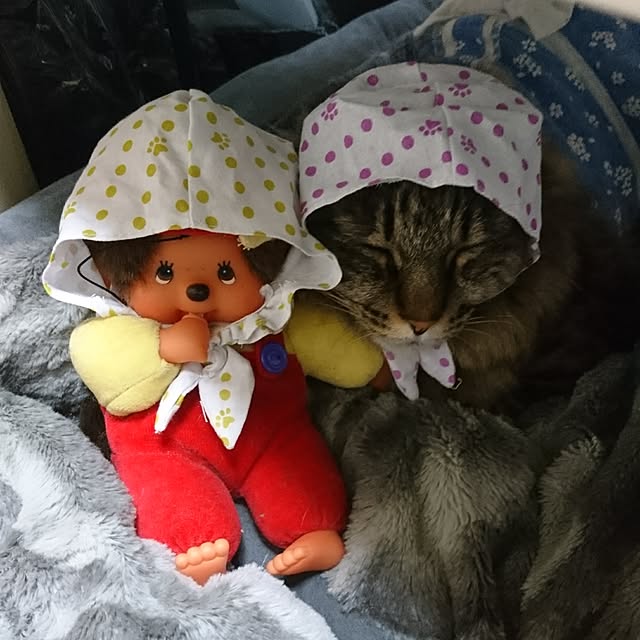 mayu.ariさんの実例写真