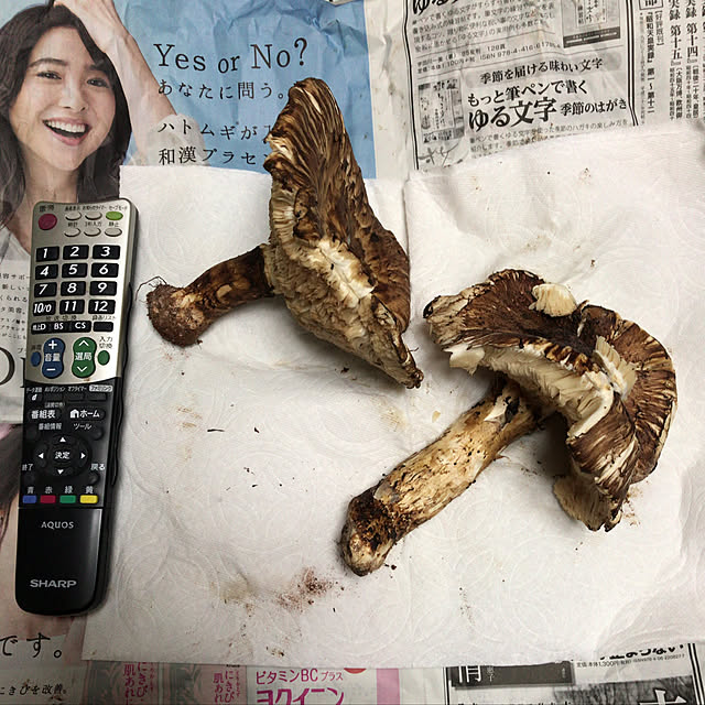 hiro.tさんの実例写真
