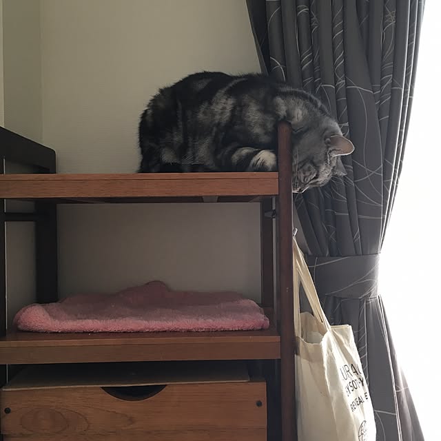 mikomaruさんの実例写真