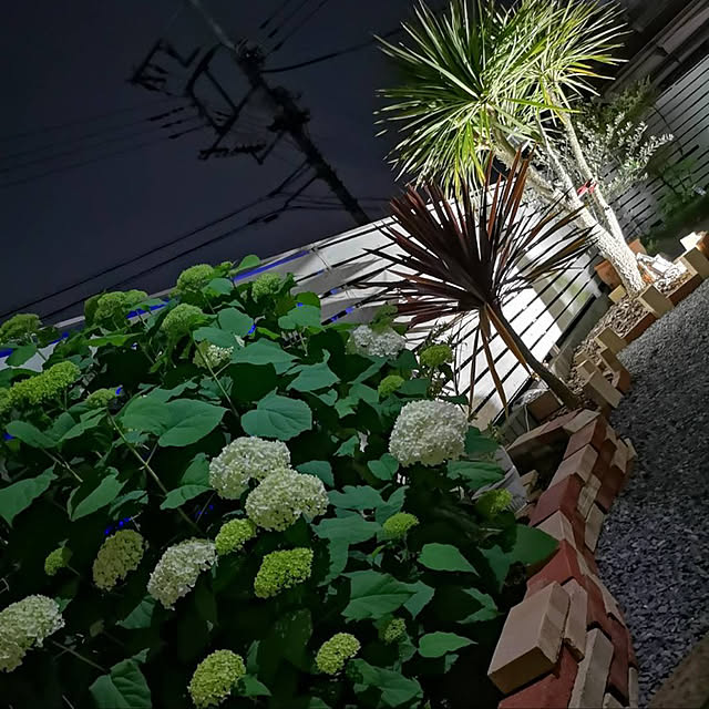 odekoさんの実例写真