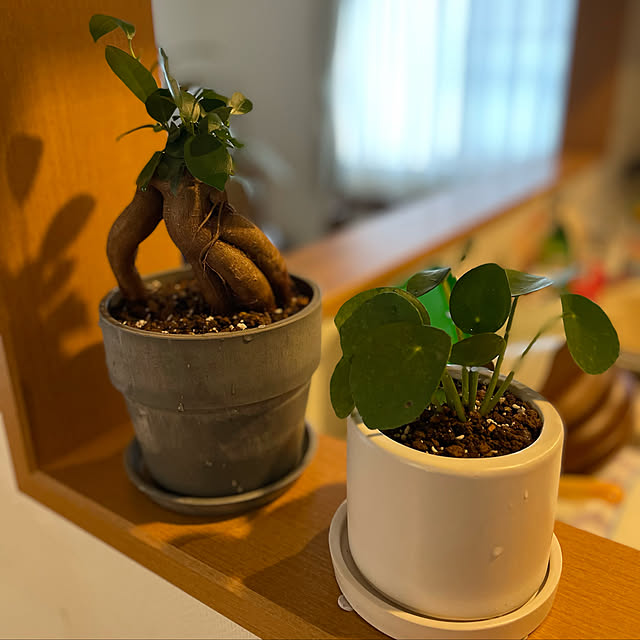 ryis432さんの実例写真