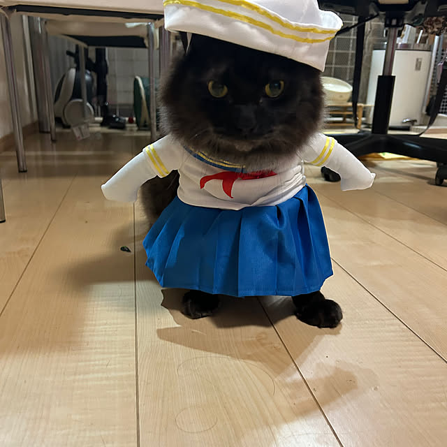 miruさんの部屋