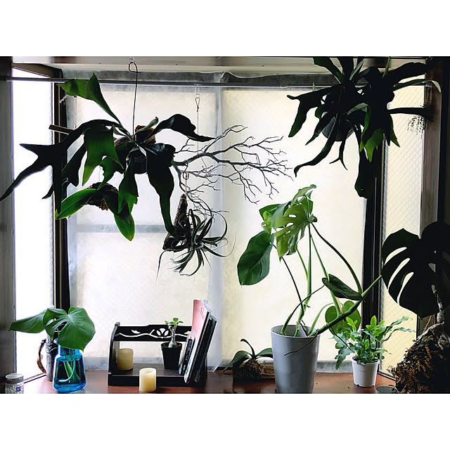 yuya_official96さんの実例写真