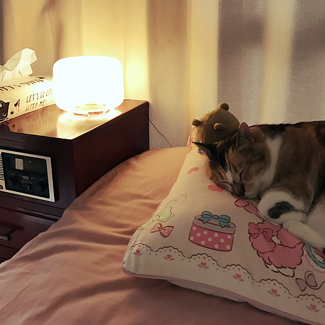 nikonikoさんの実例写真