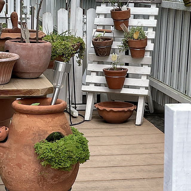 Ohigeさんの部屋