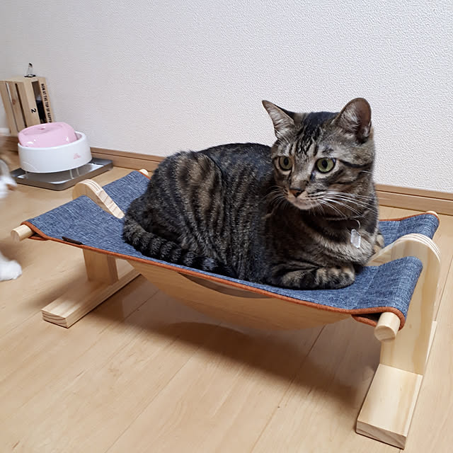 motoさんの実例写真