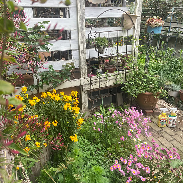 na-chanさんの部屋