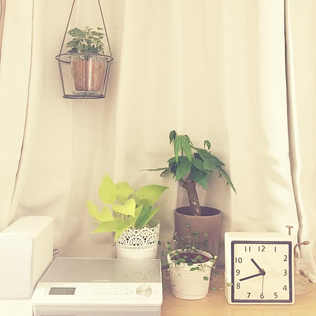 ベッド周り/観葉植物/IKEA/一人暮らし/ナチュラルのインテリア実例 - 2016-02-28 11:27:01