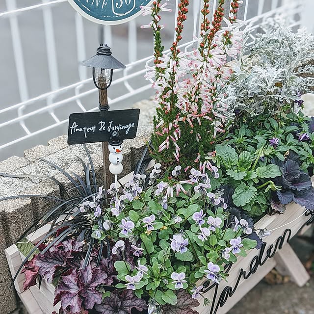 purpureさんの部屋