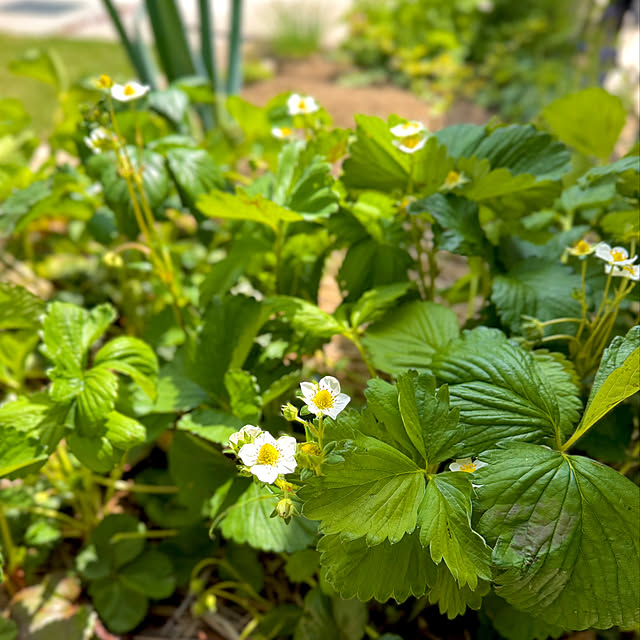 kurinokiさんの部屋