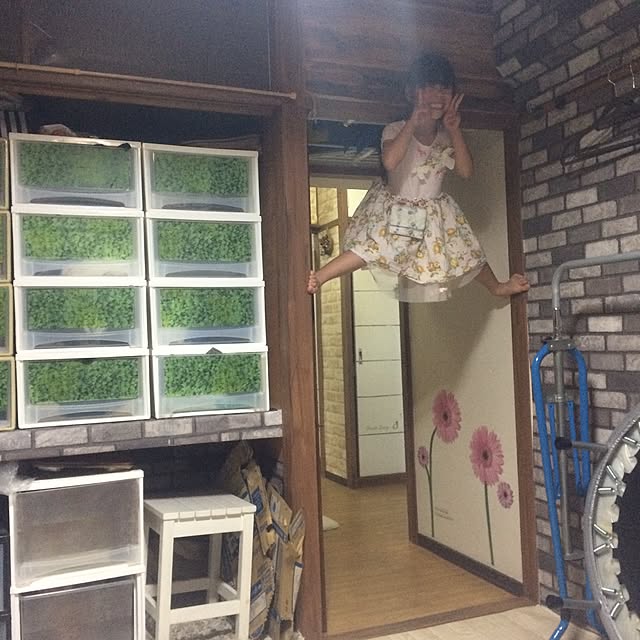 osakanaさんの実例写真
