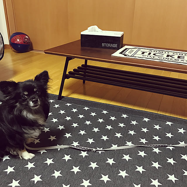 ruteiさんの実例写真