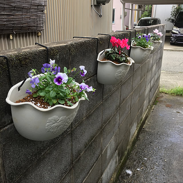 momomamaさんの実例写真