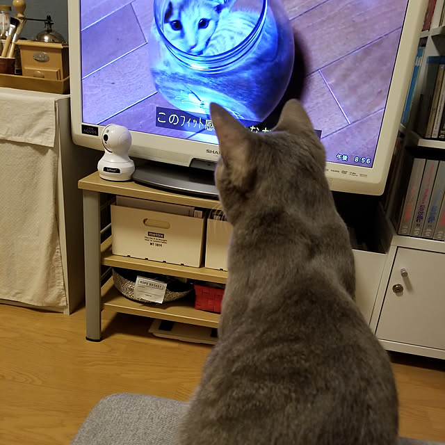 yukiさんの実例写真