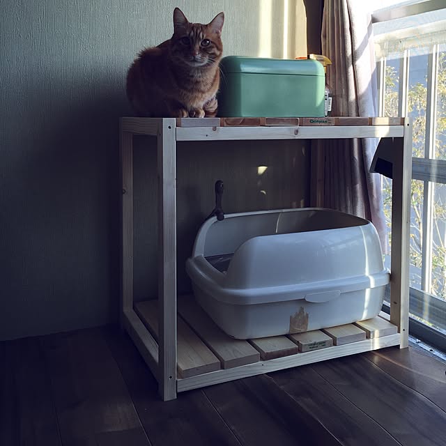 1902さんの実例写真