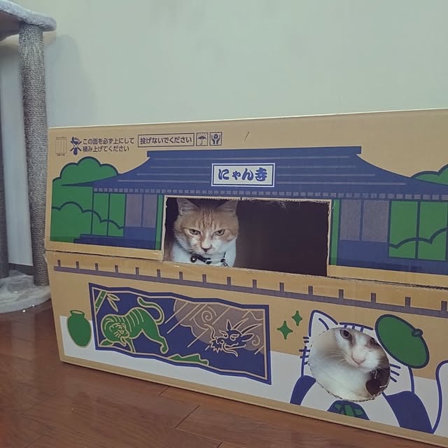 NOAHさんの部屋