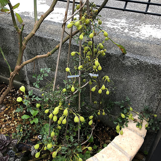 CoffeeHouseさんの部屋