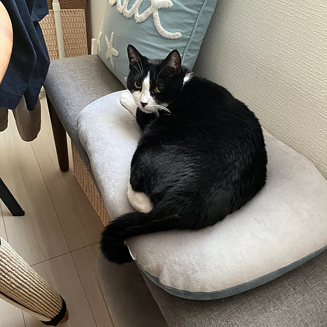 chatnoirさんの部屋