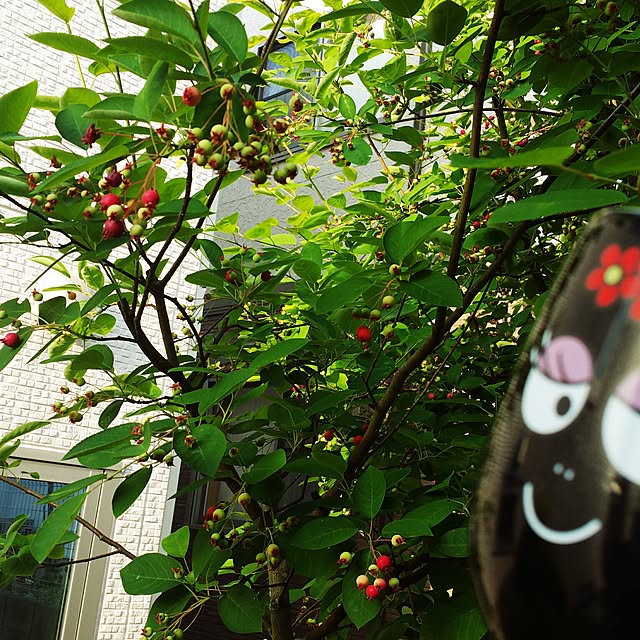 tomoppさんの実例写真