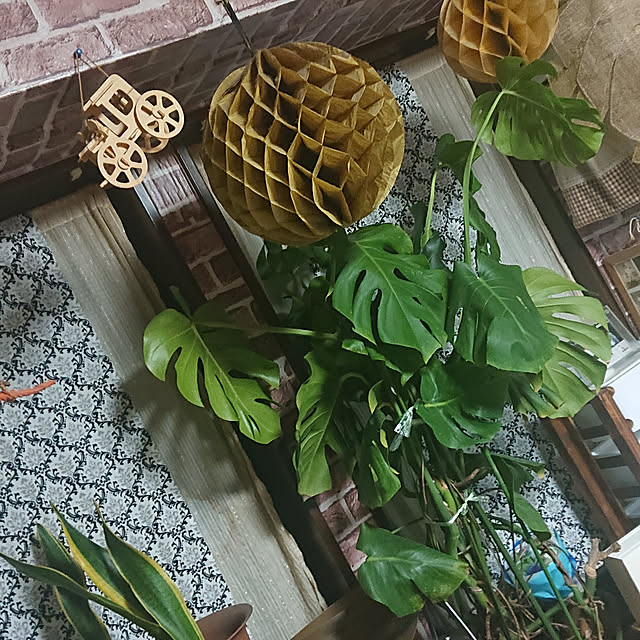 teaさんの部屋