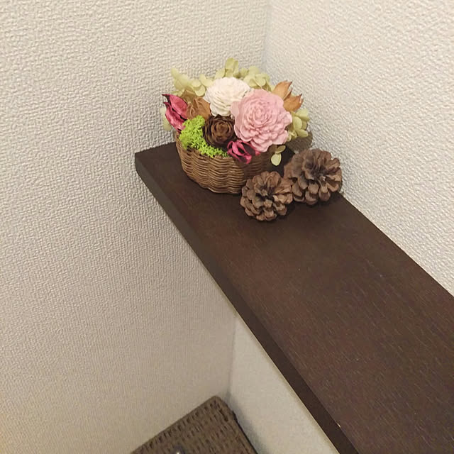 sokatanさんの実例写真