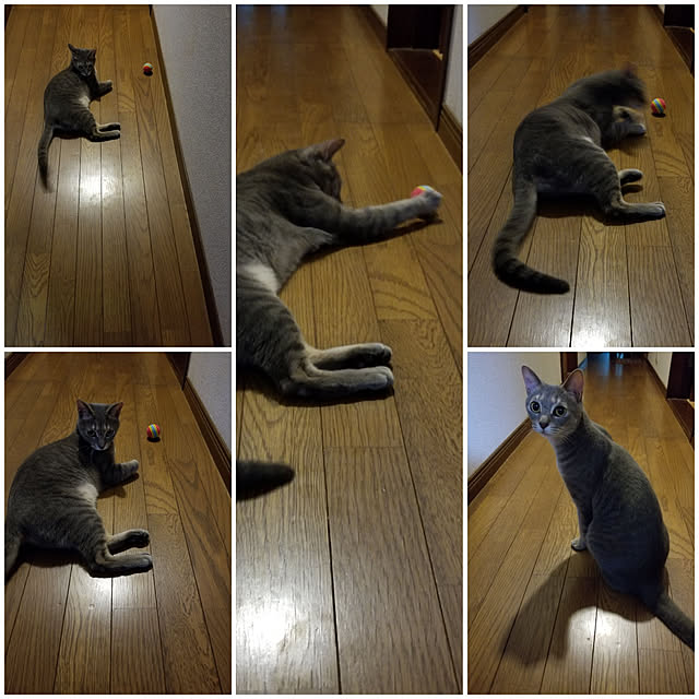 yukiさんの実例写真