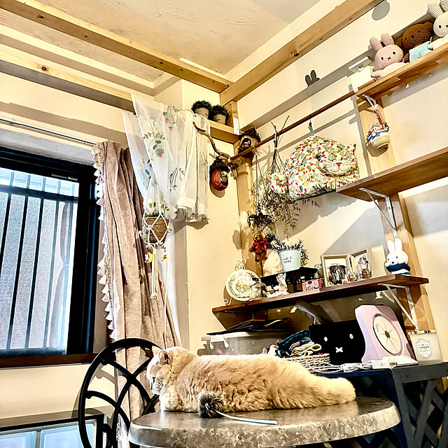 naokoさんの部屋
