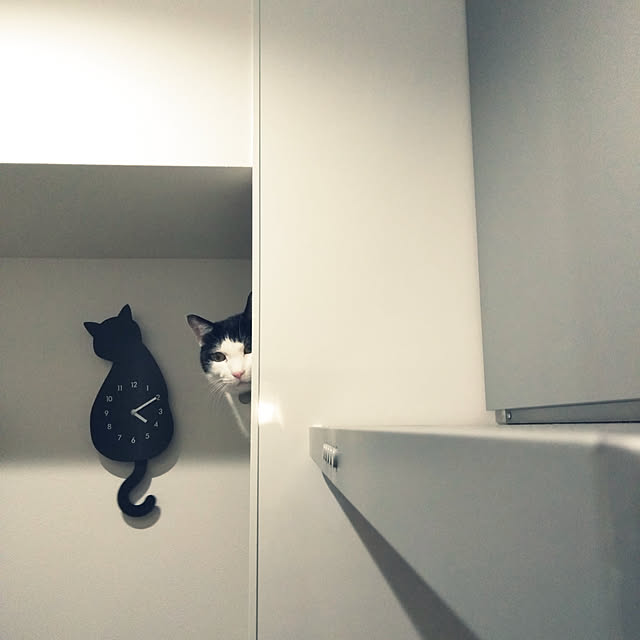 futukoさんの実例写真