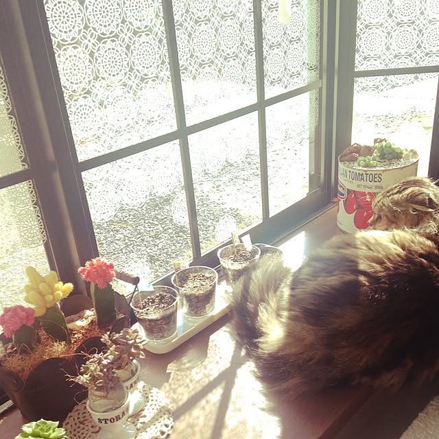 Y.Mさんの実例写真