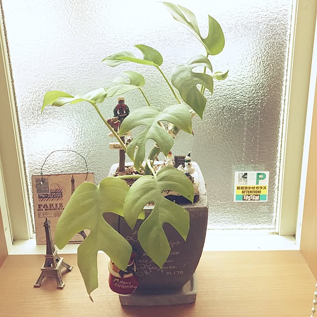 nomunomuさんの実例写真