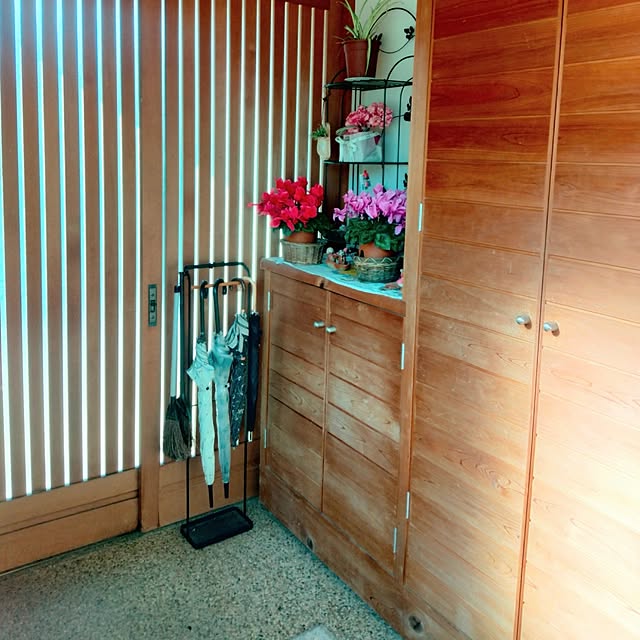 玄関/入り口/玄関/無垢材/木の家/木のぬくもり...などのインテリア実例 - 2026-01-17 14:56:02