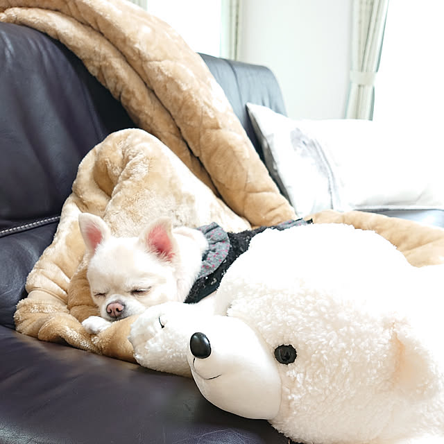 okuriさんの実例写真