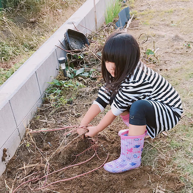 Sayakaさんの実例写真